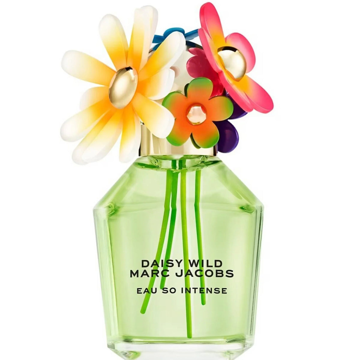 Daisy Wild Eau So Intense Eau de Parfum 3.4 oz for women — bottle